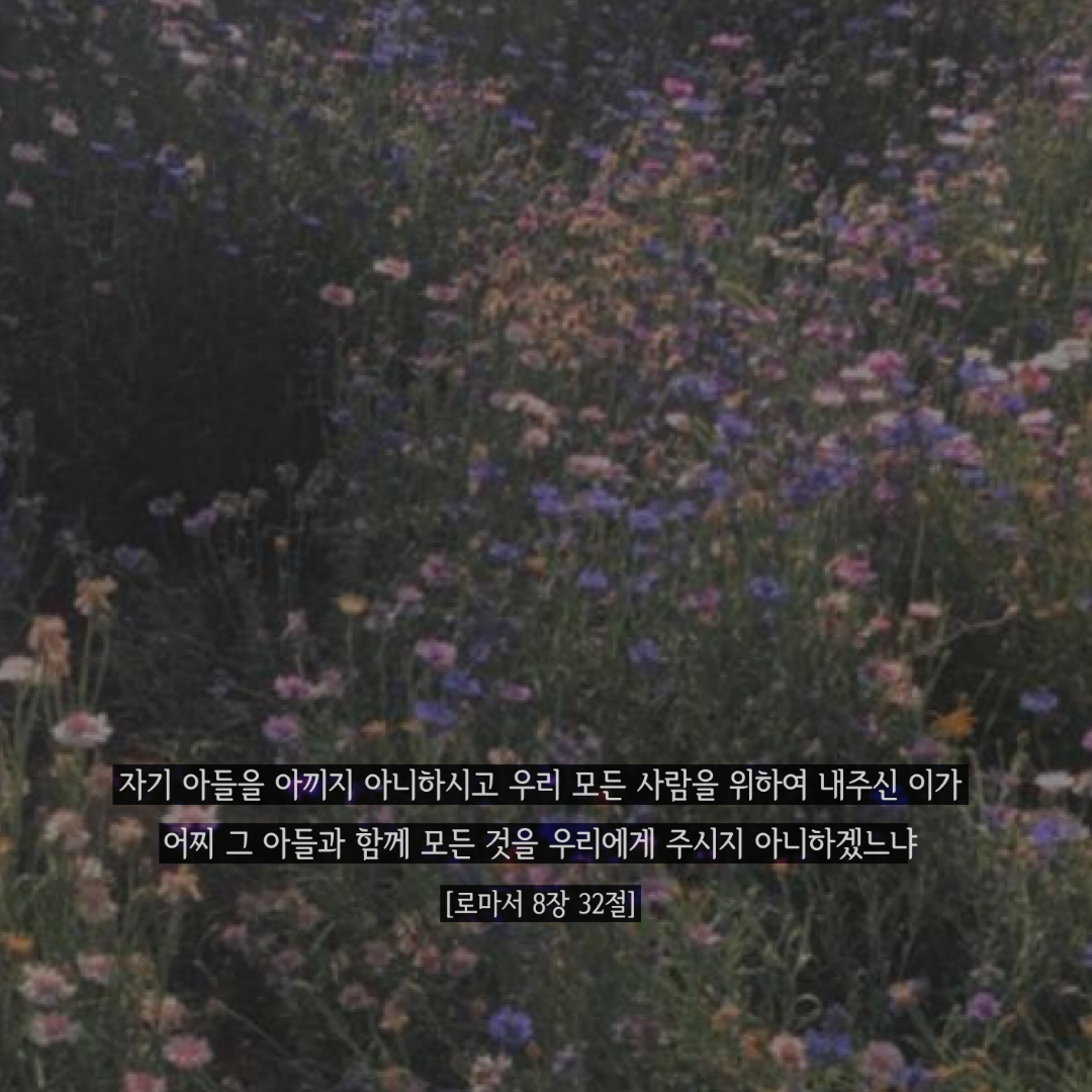9ca4989eb35b6.png