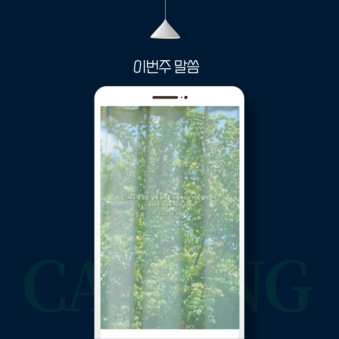 b91a0f51c454a.png