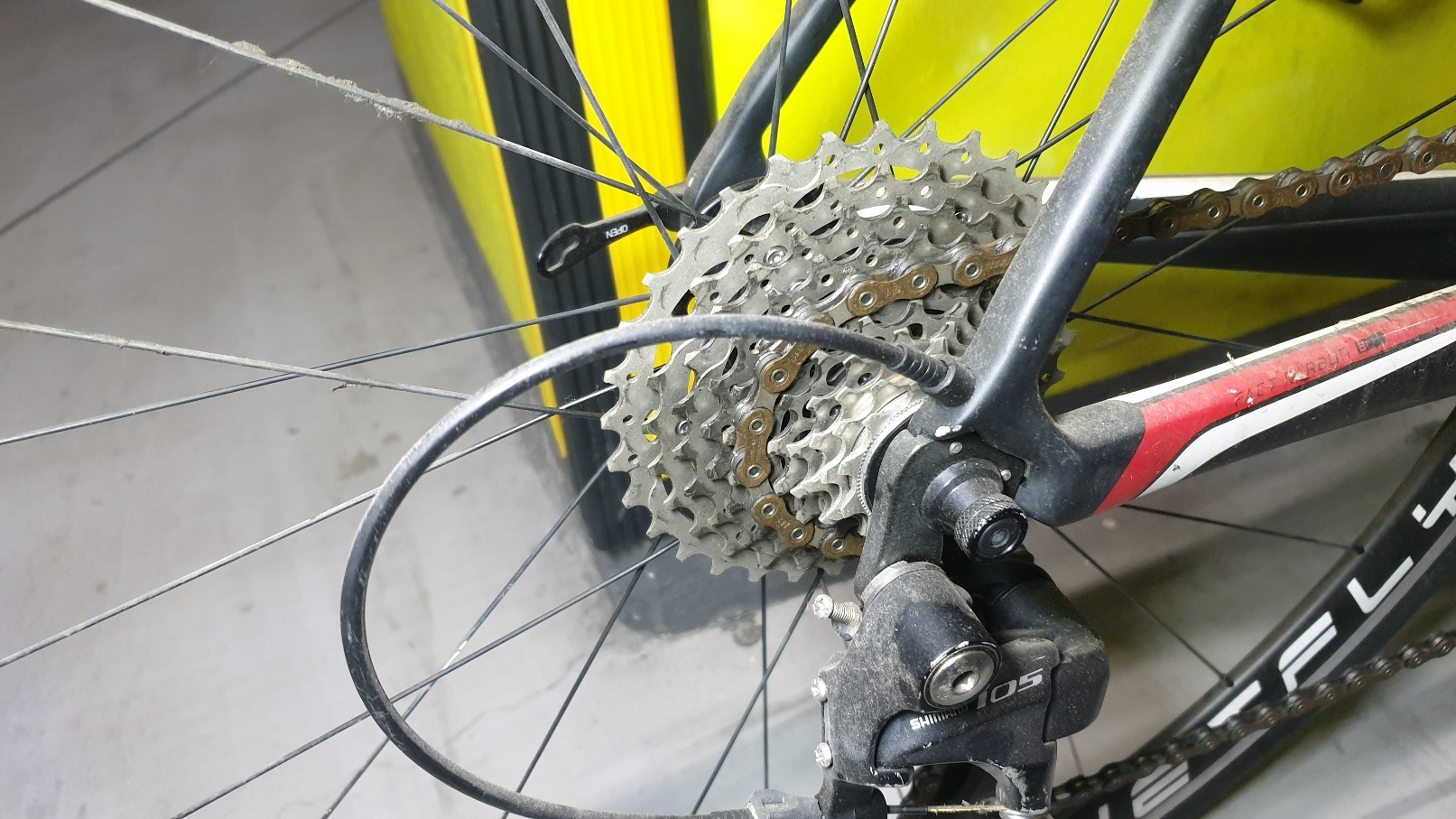 acb53bb5d5528.jpg