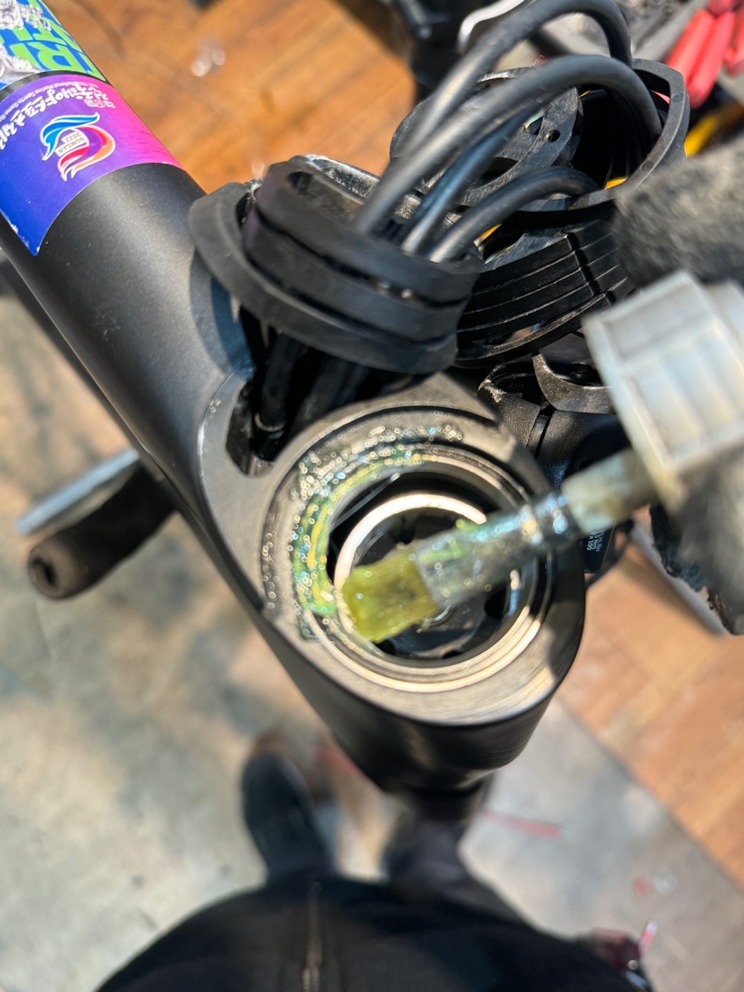 d90726f56bec9.jpg
