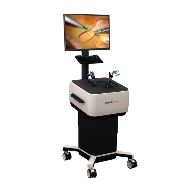 SurgicalSimulator