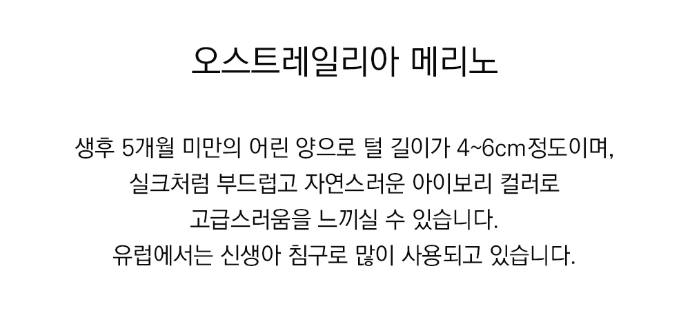 쉽스킨 호주산 메리노 울 어린양 원형 쿠션 블로썸