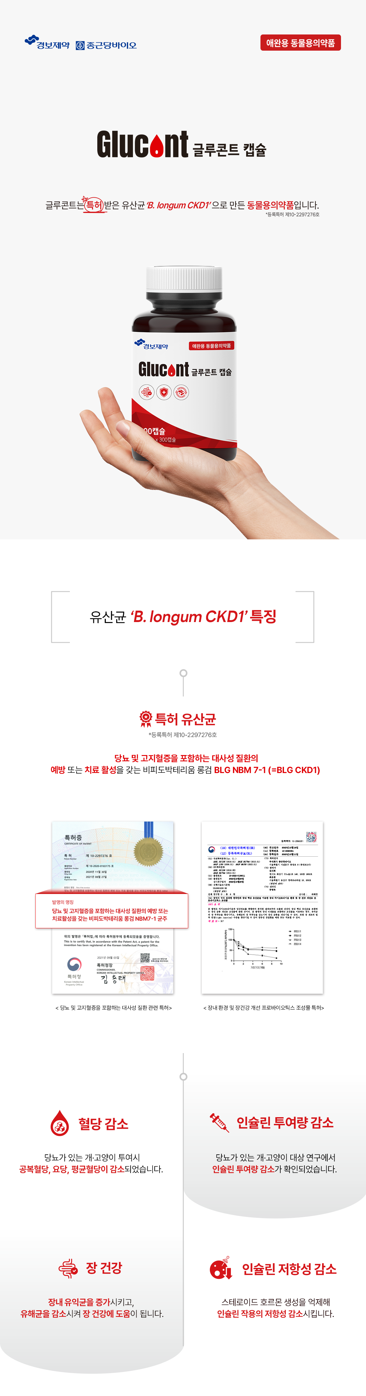 글루콘트 캡슐 30C, 300C