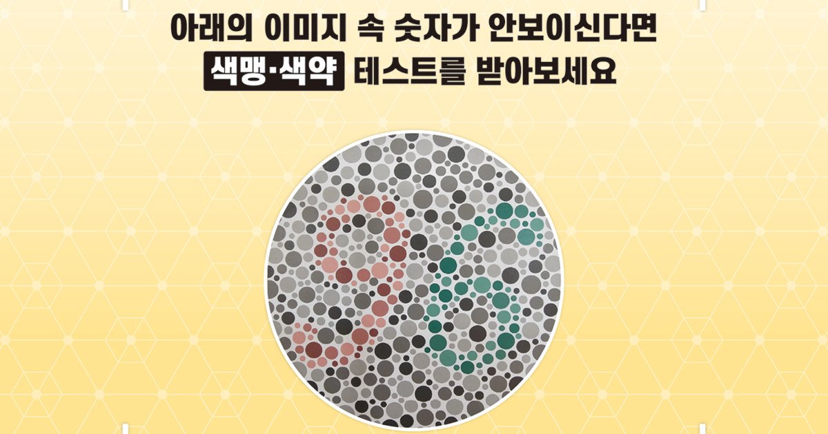 색맹·색약 보정 렌즈