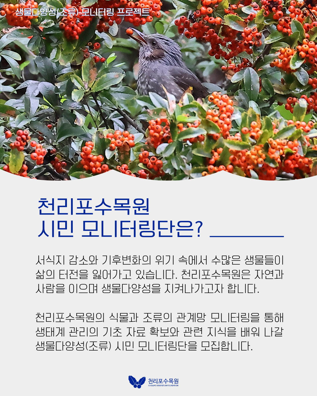 02f022ab6c76d.png