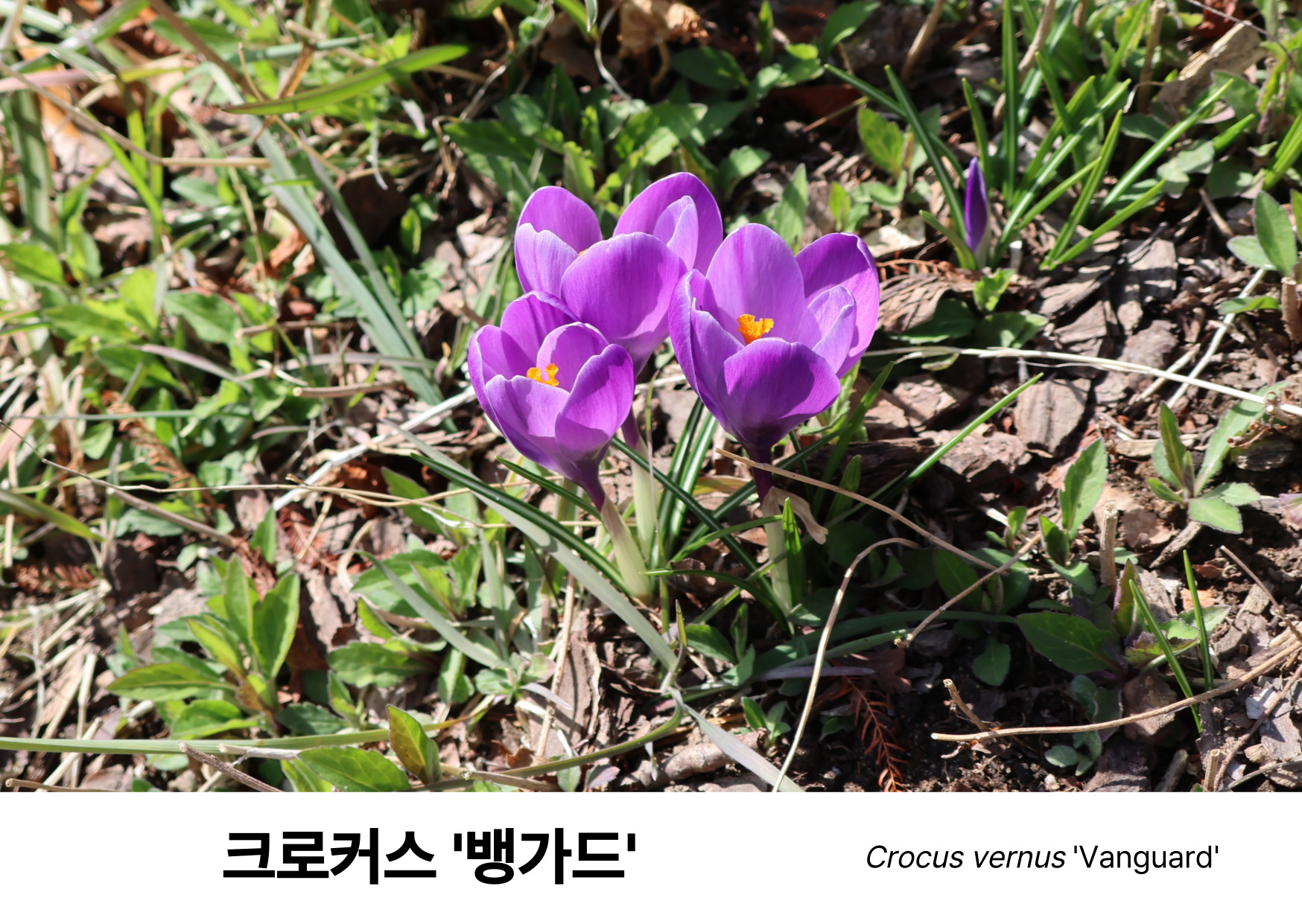 03f427a5dbb54.jpg