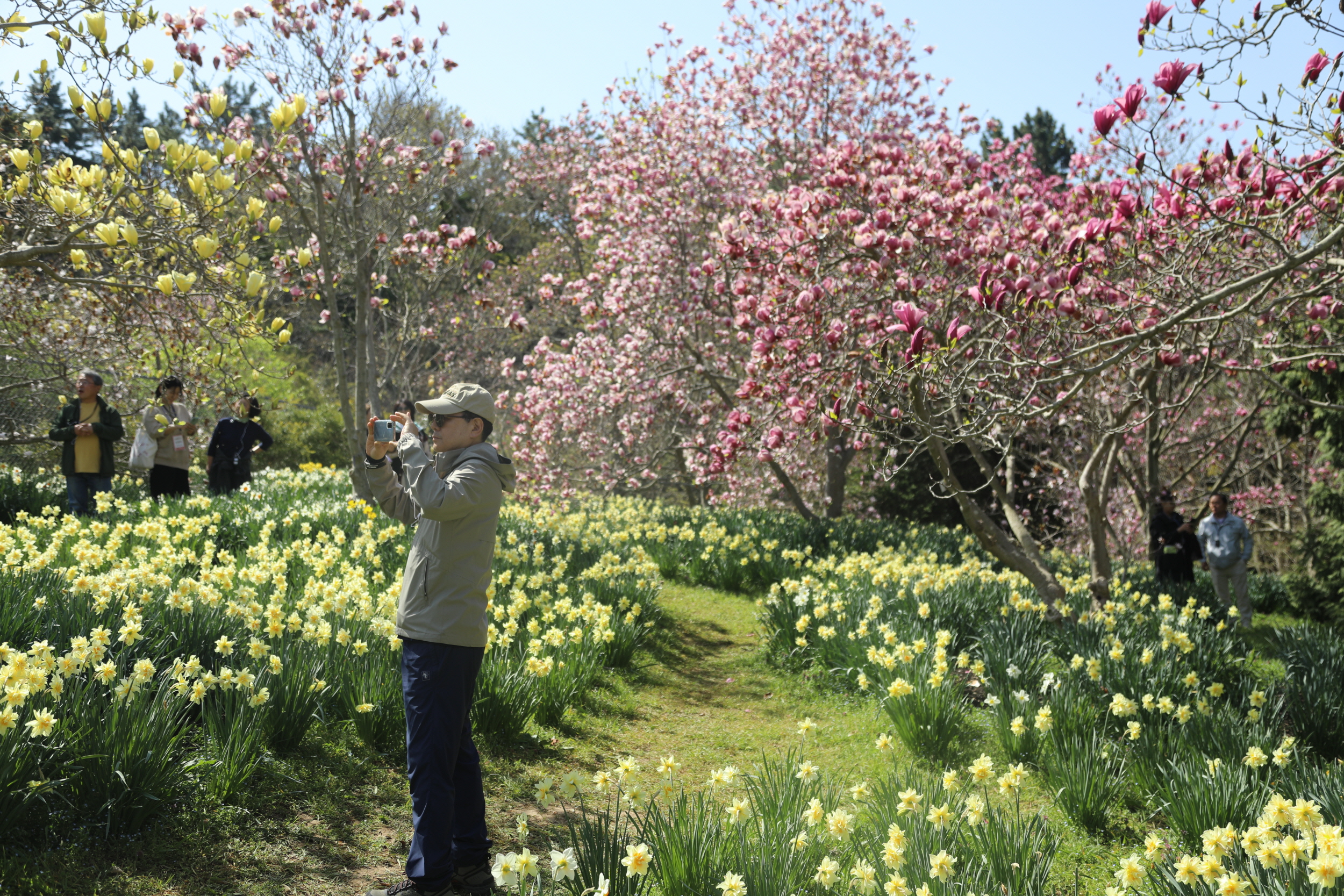 05e58229ec84f.jpg