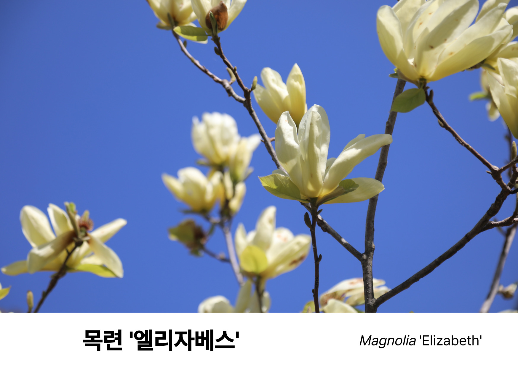 079fd80f7387f.jpg
