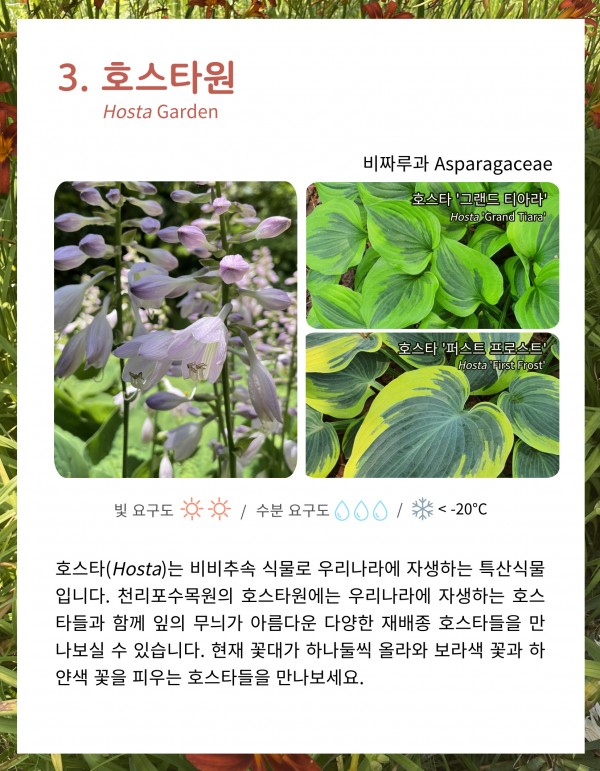 bfa5e4f8fc2ef490bd95bc6a87c7b923_1657264