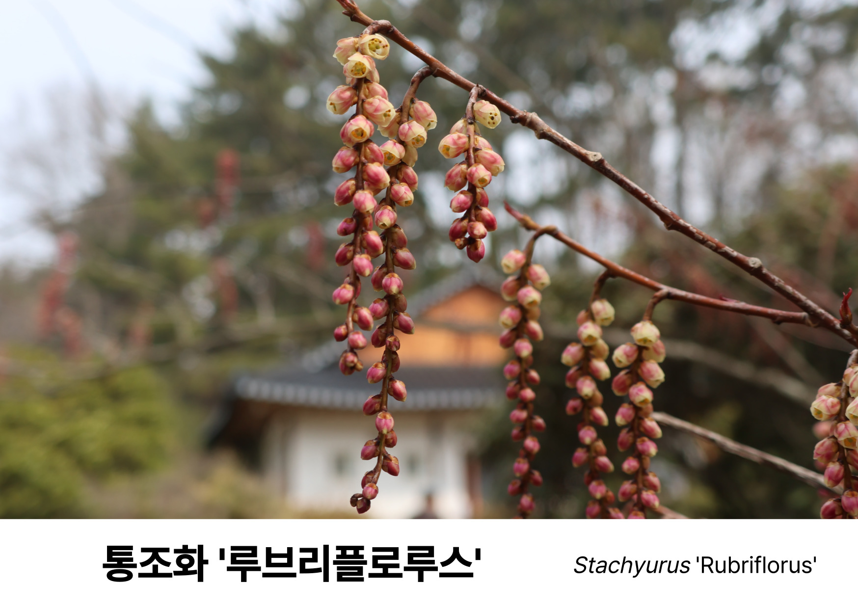 0e7a015d7aadc.jpg