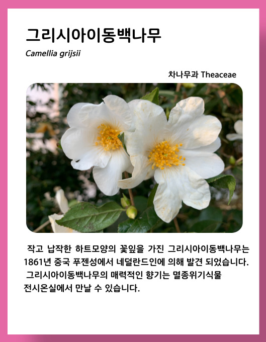 56c682cae43db25e1930d42250707966_1675469