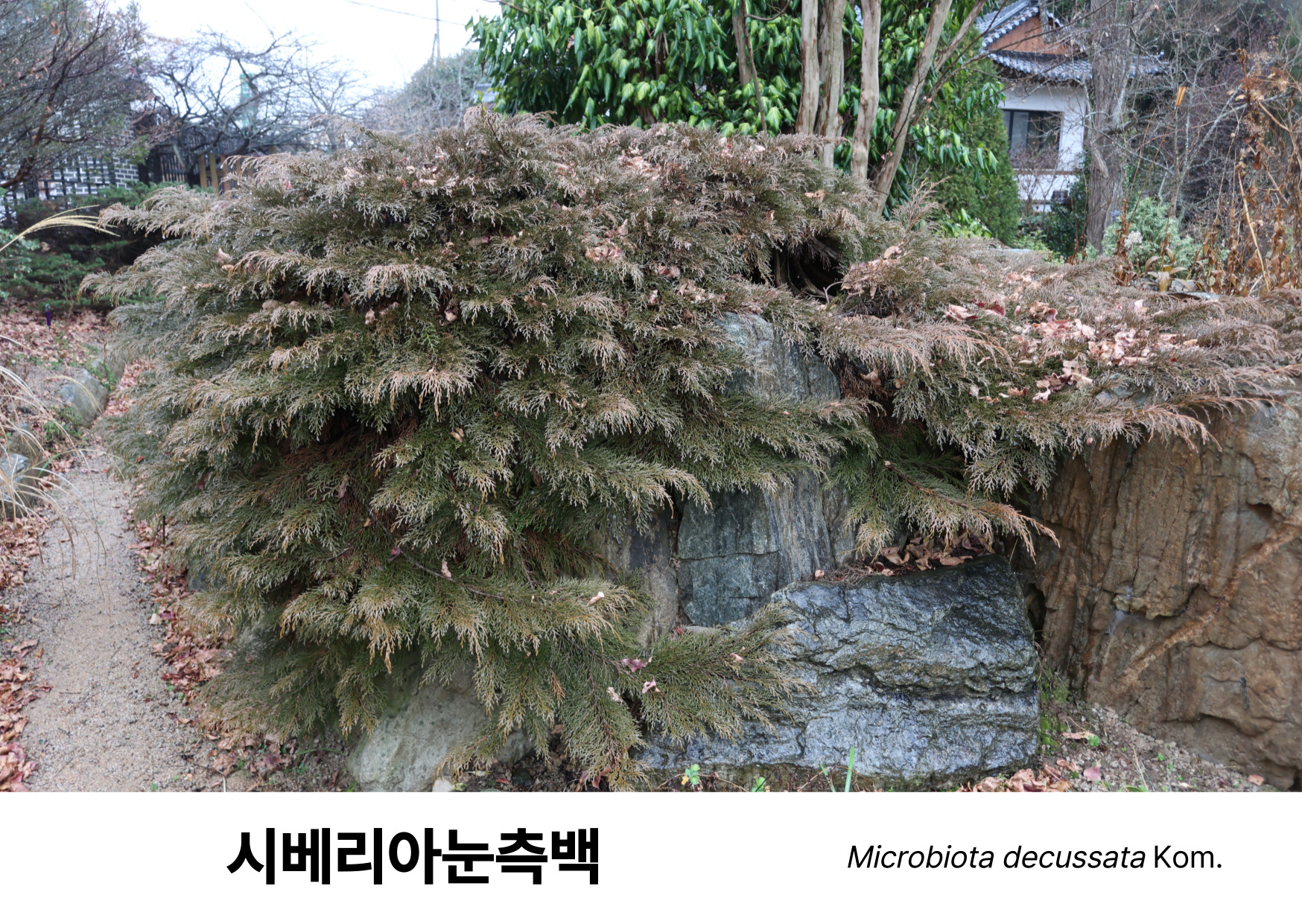 15a74117f95fb.jpg