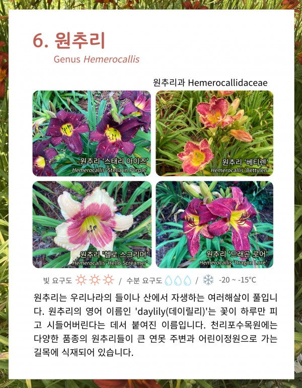 bfa5e4f8fc2ef490bd95bc6a87c7b923_1657264