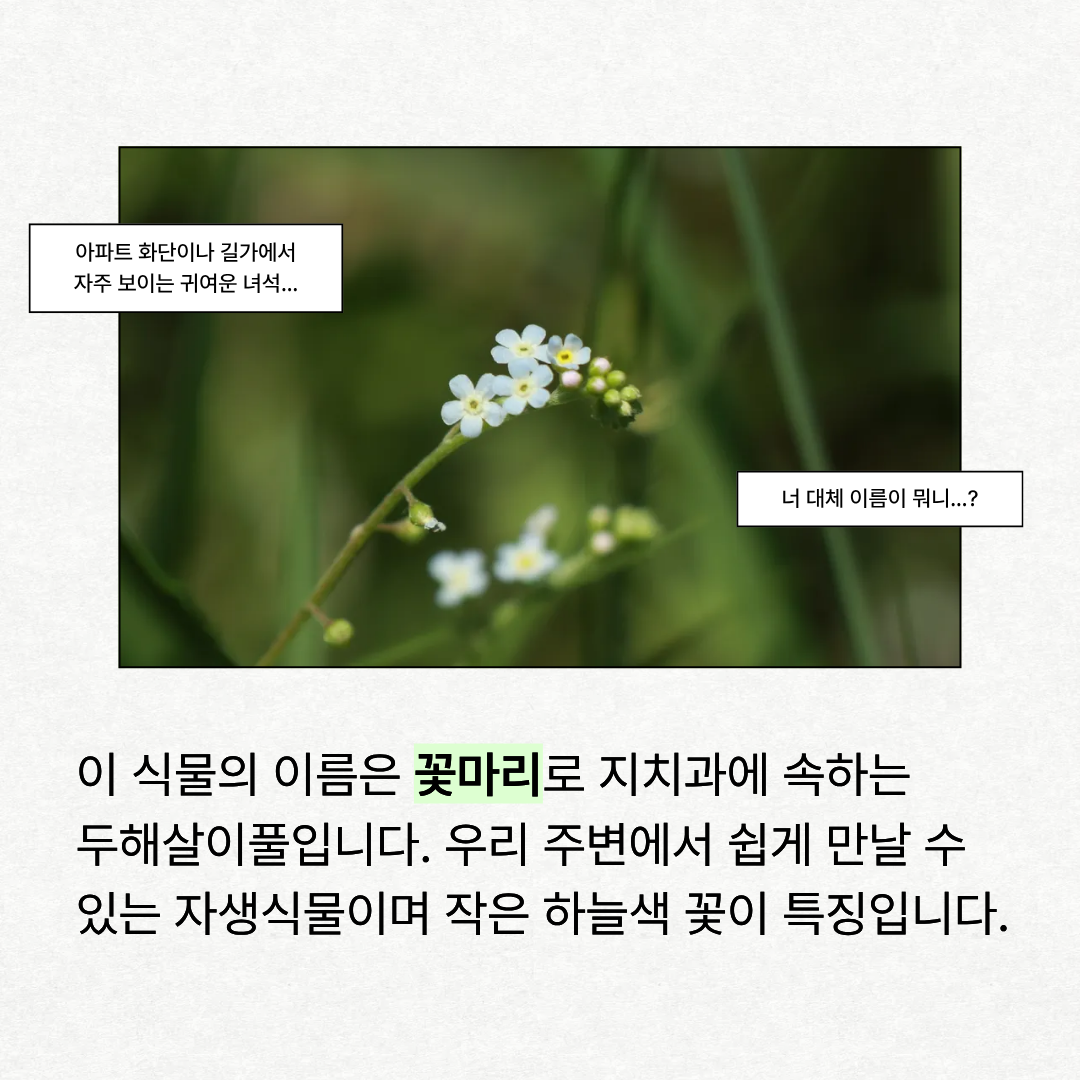 1ad5a47a802a7.png