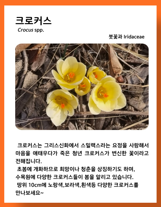 e2e313c027dfbb0996a1aa3a16700204_1678449