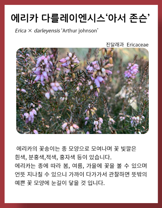 eeec0cd2d7c754d5645d7aec68401c51_1672995