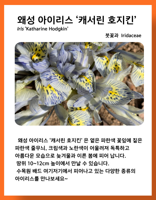 e2e313c027dfbb0996a1aa3a16700204_1678449