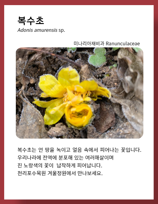 eeec0cd2d7c754d5645d7aec68401c51_1672995