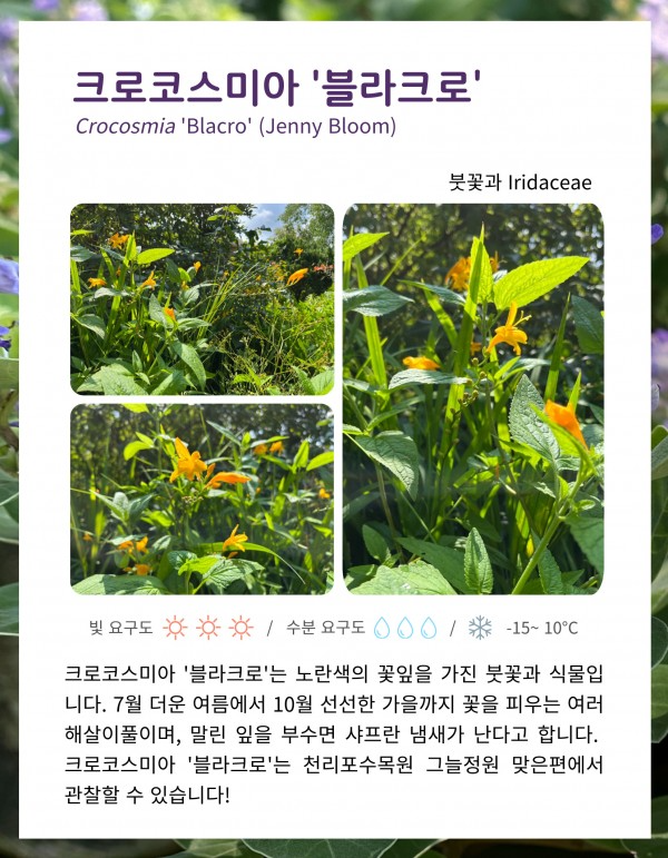 dcc38d57dec2cbceb817268a65857216_1659673