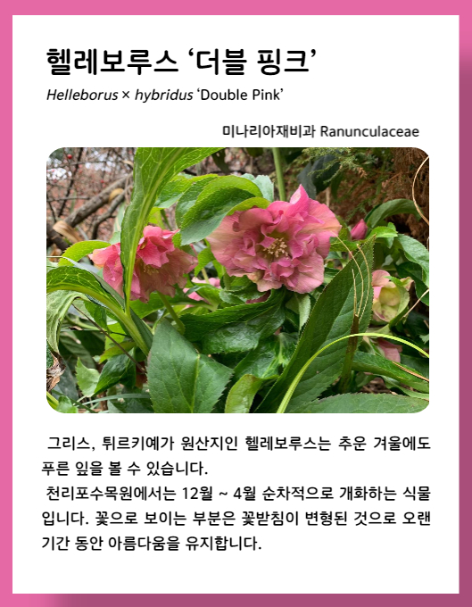 f3d03cec557a767f964299f7b903cafd_1674190
