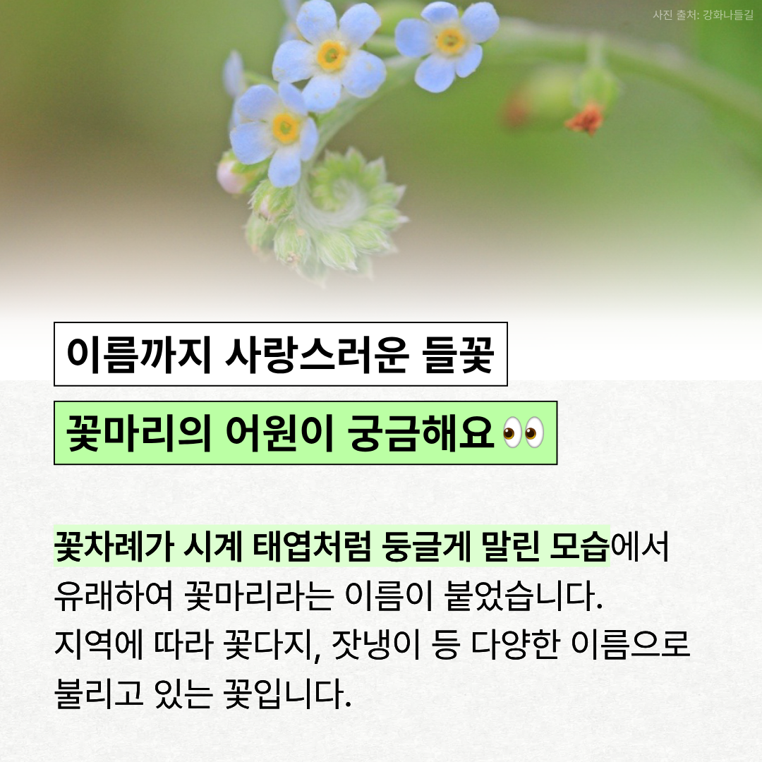 3d26f4d5955fb.png
