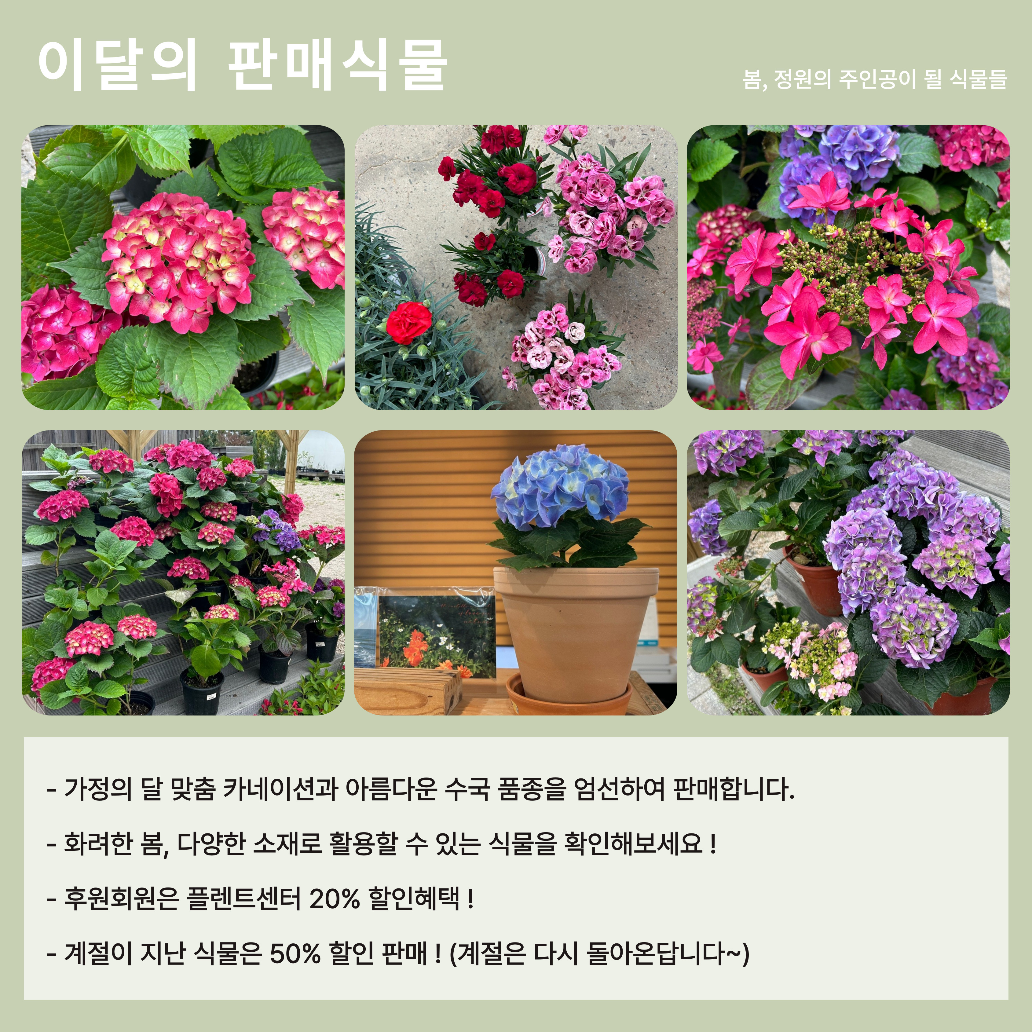 4351b10406bfc.jpg