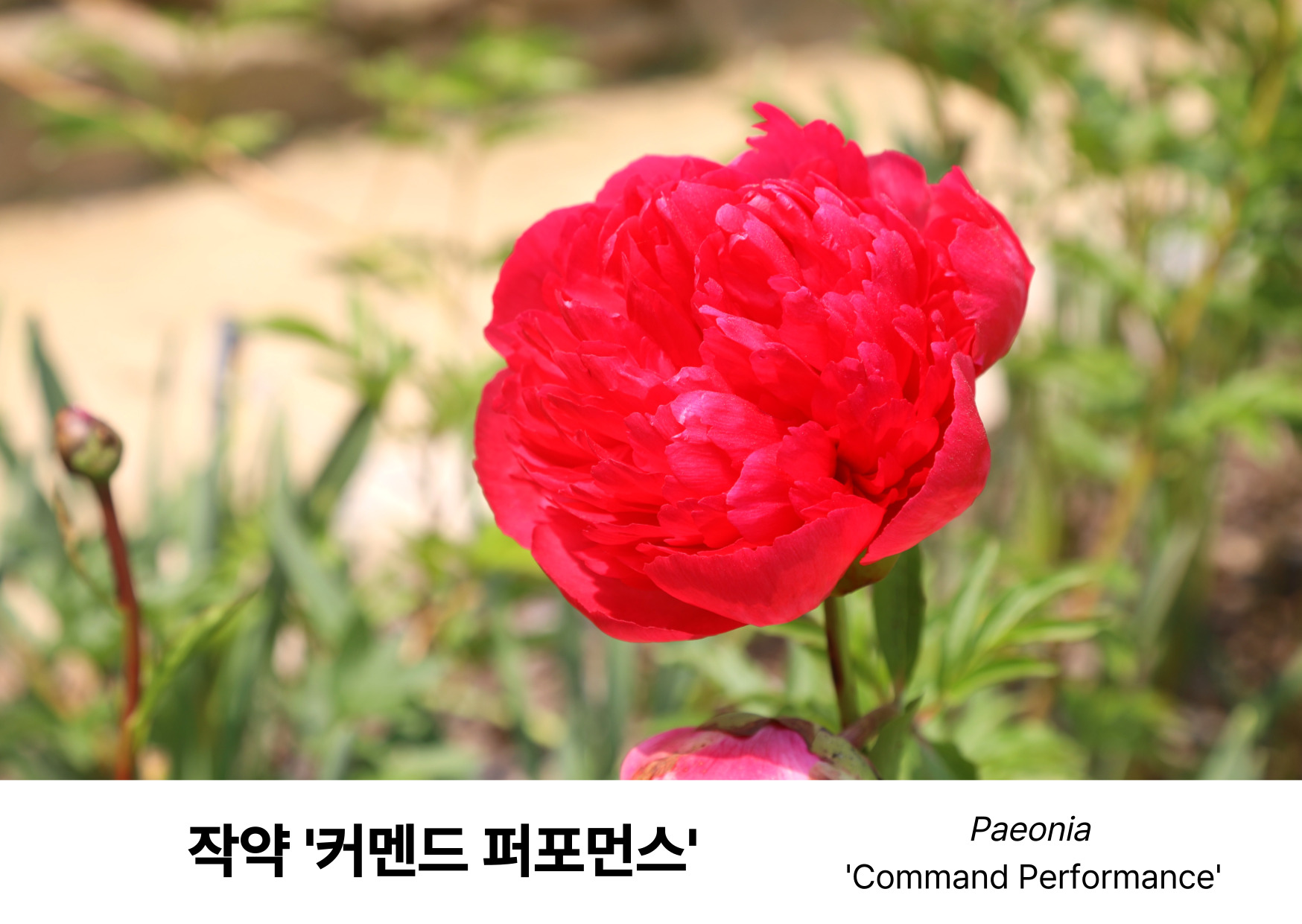 4c46f3febad03.jpg