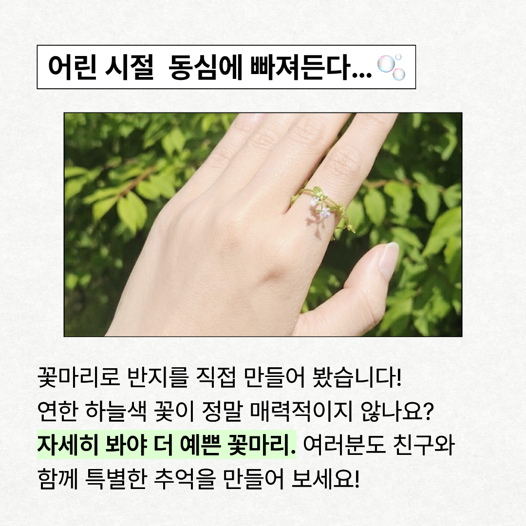 4d4307d58b4a8.png