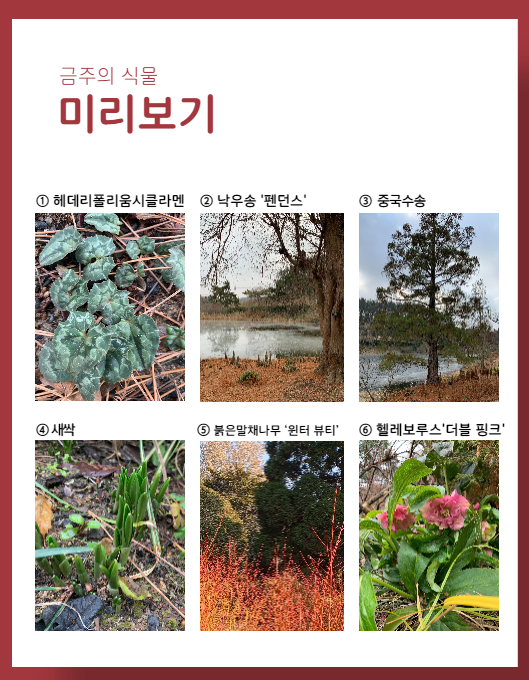 ff951064f5e2dcbcb663bea9fb323a6b_1673549