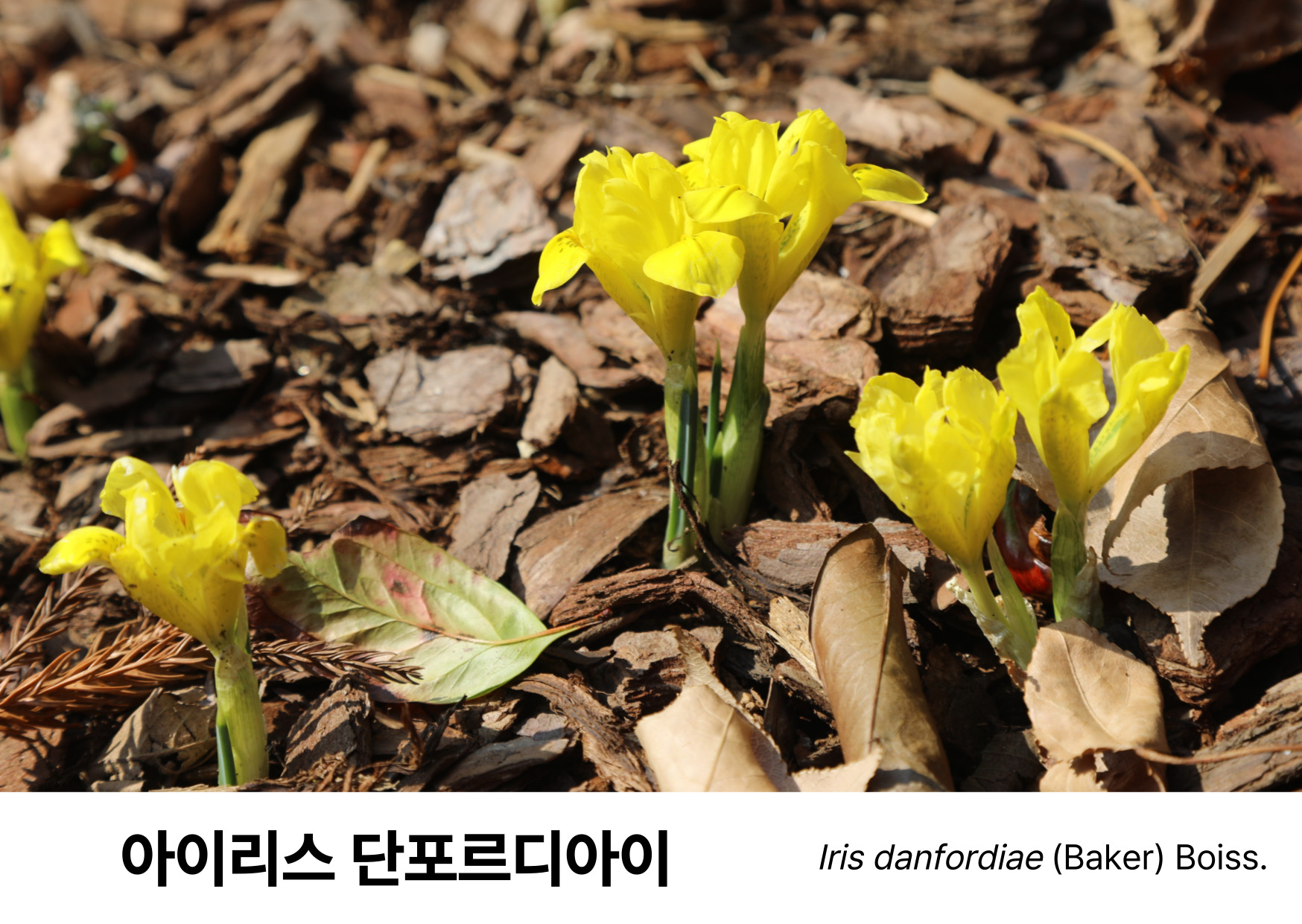 535403ed0436f.jpg