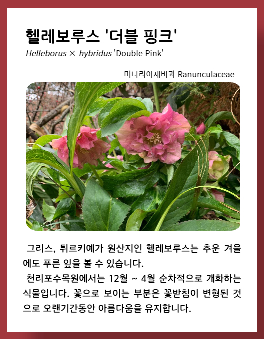 ff951064f5e2dcbcb663bea9fb323a6b_1673549