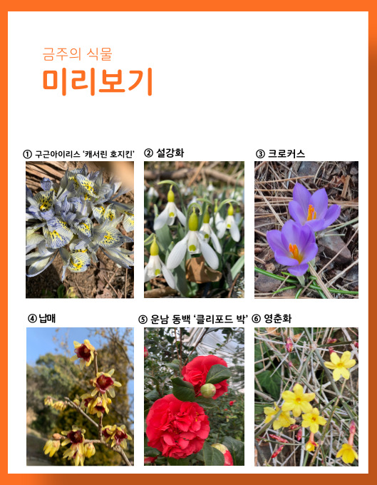 e2e313c027dfbb0996a1aa3a16700204_1678449