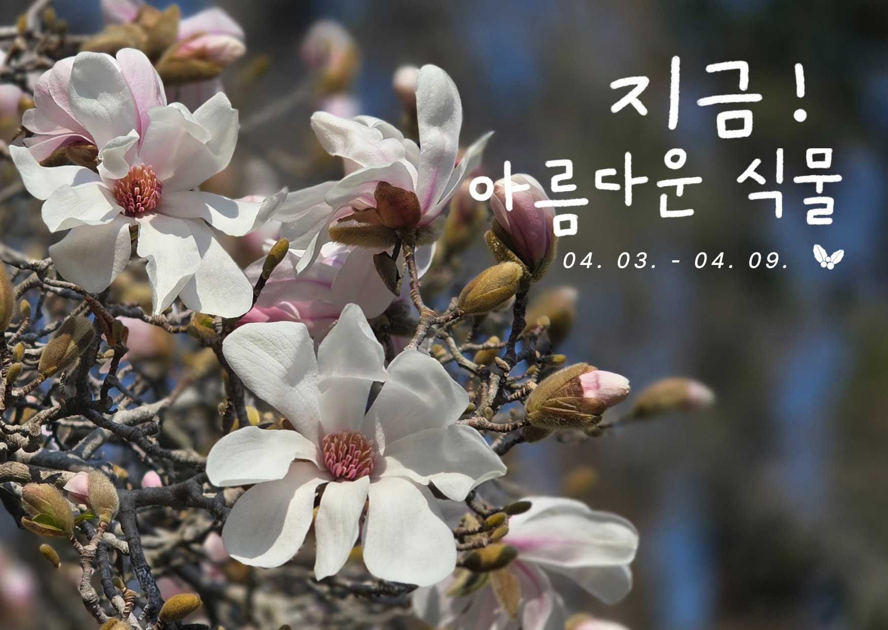 6023fb4ab676a.jpg