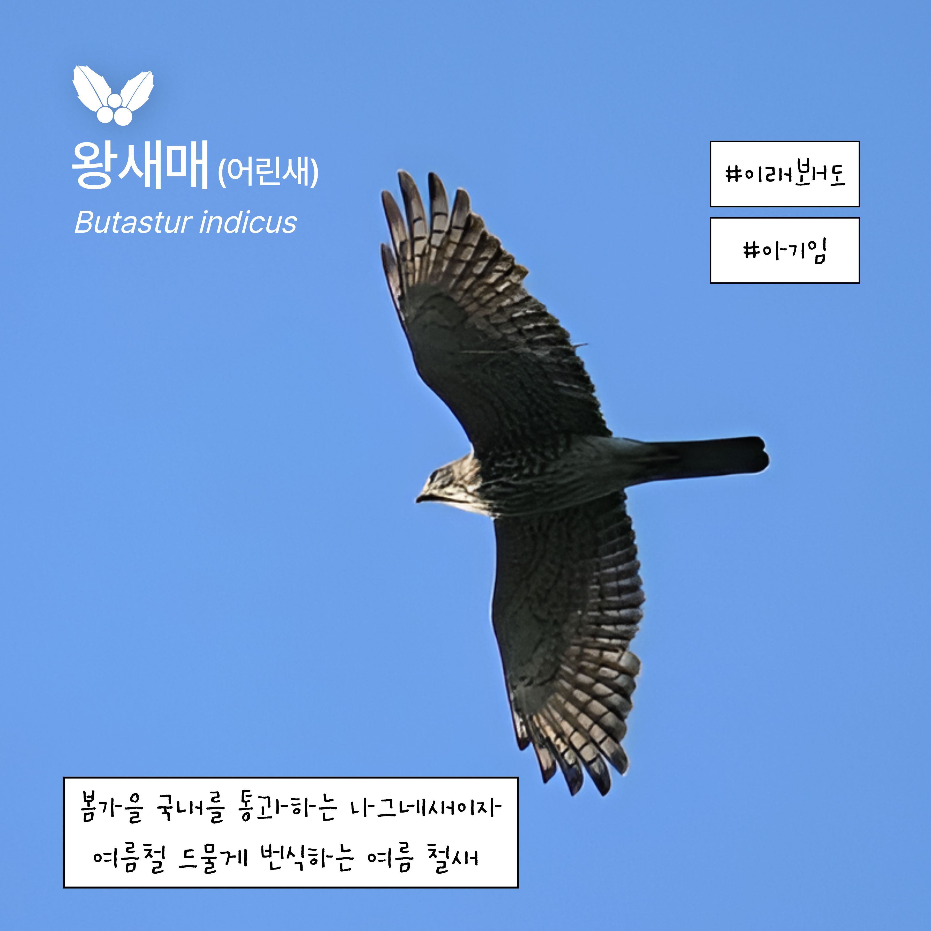 60c74aaaa57f4.jpeg