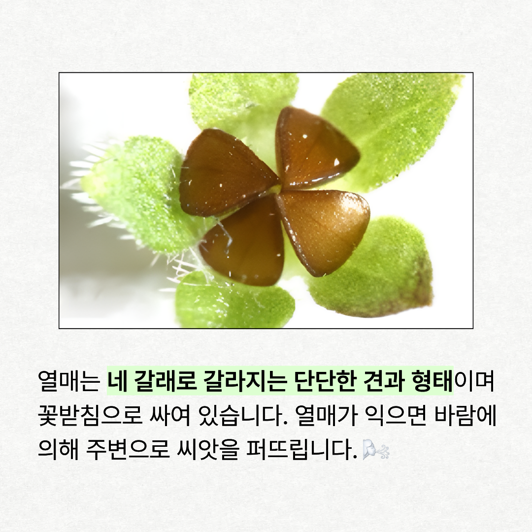 629ed67204eb6.png