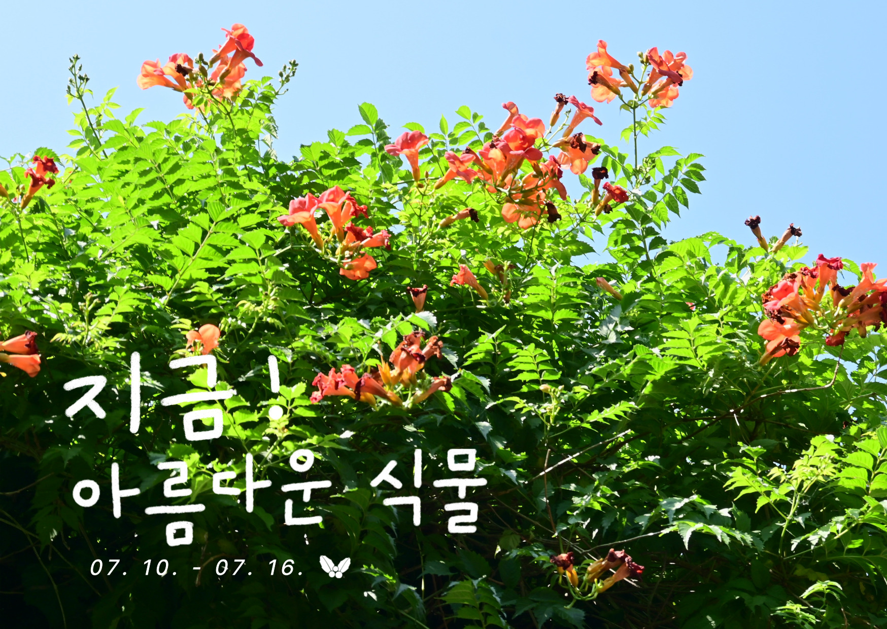 62cd00874711d.png