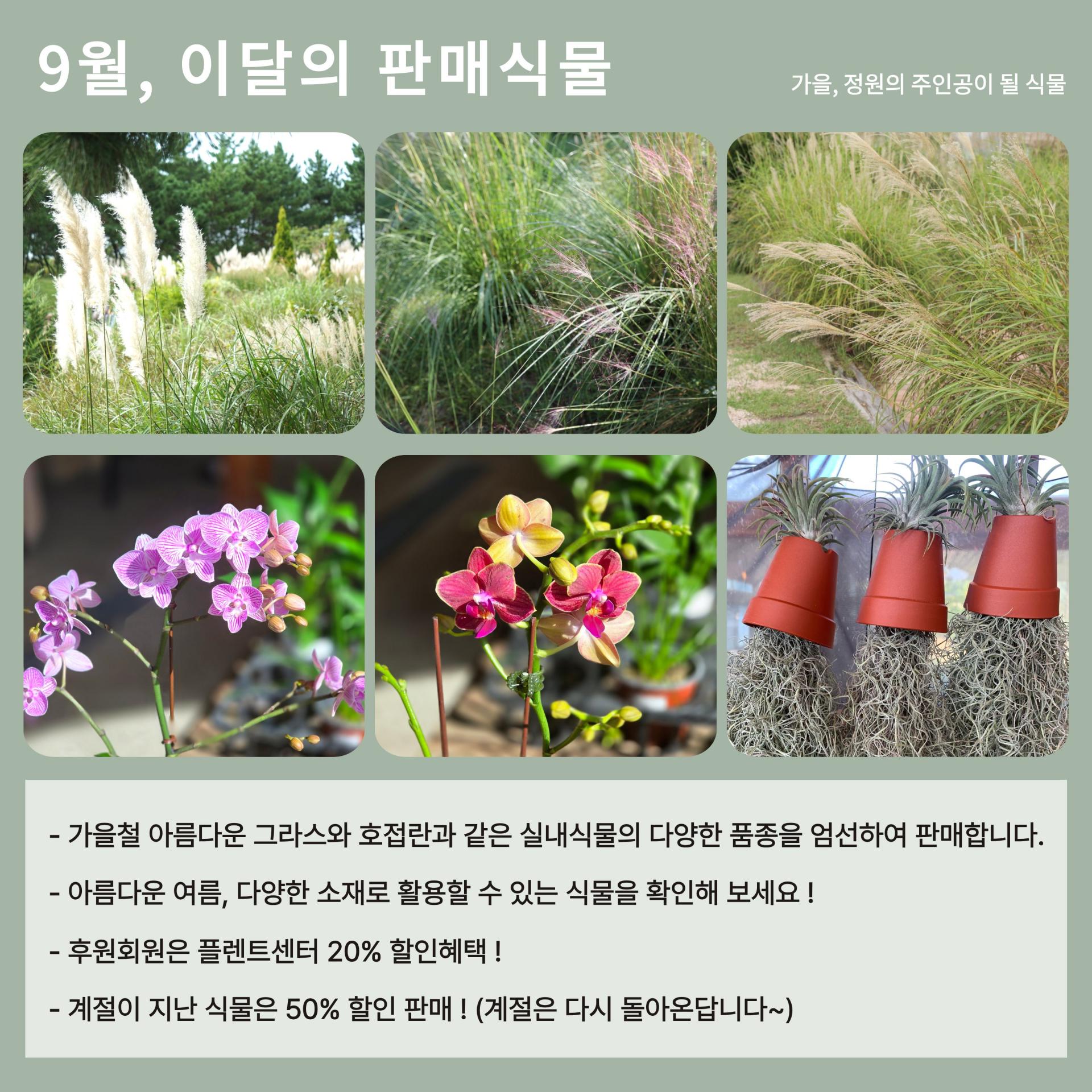 667b3318be86b.jpg