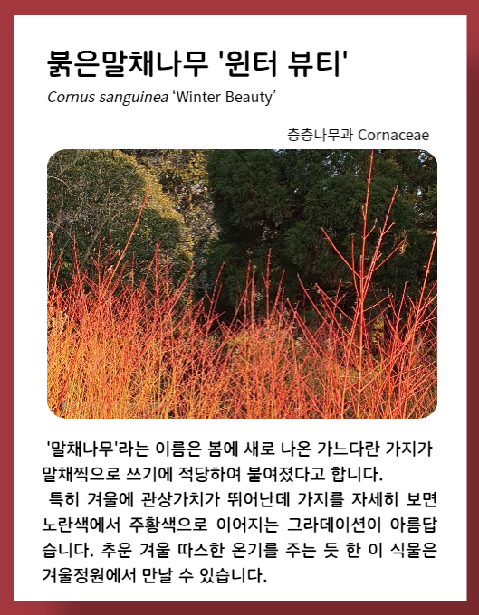 ff951064f5e2dcbcb663bea9fb323a6b_1673549