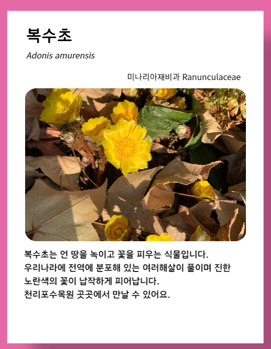 7c6a0cdb95598.png