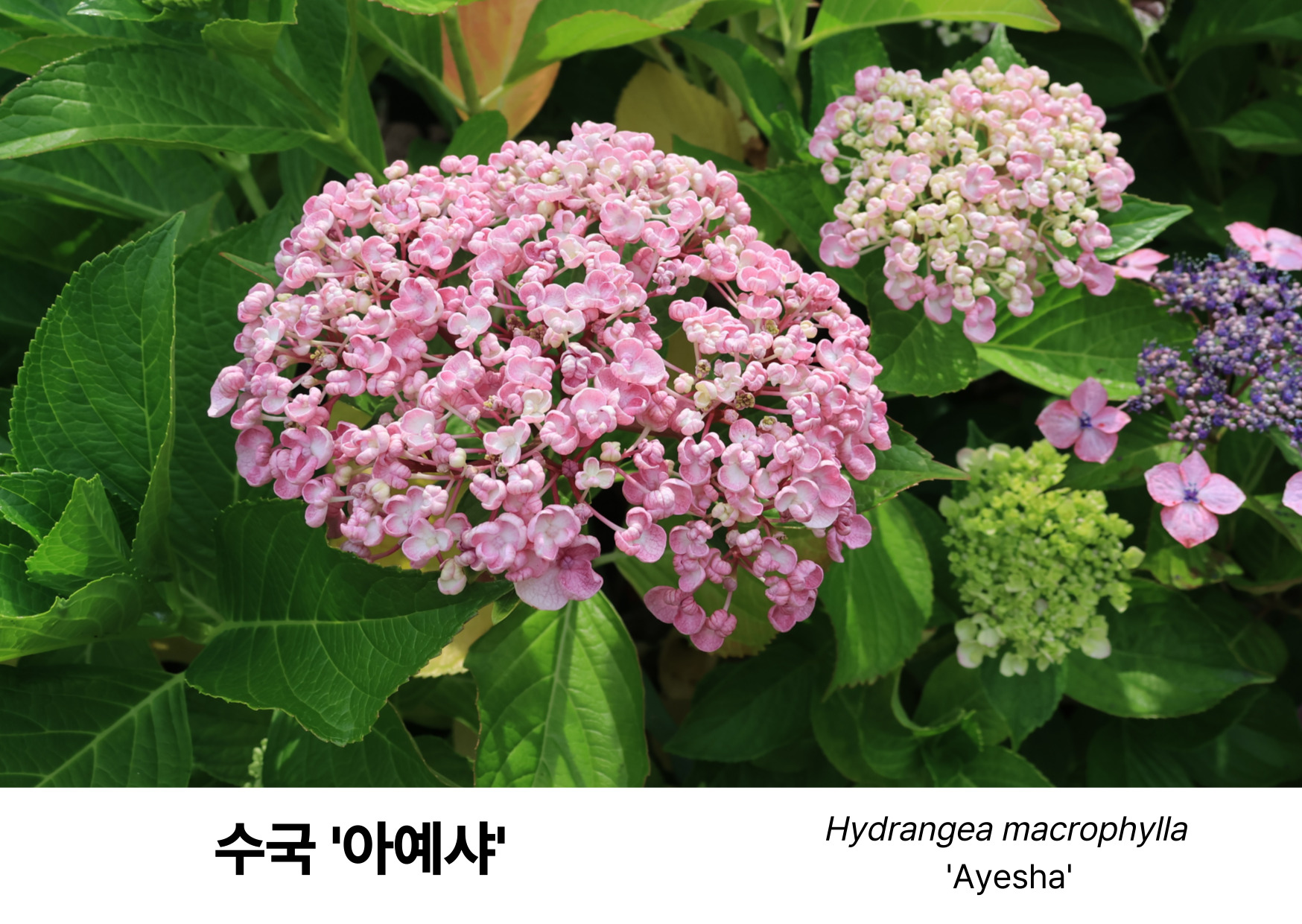 7dff1cc93664a.jpg