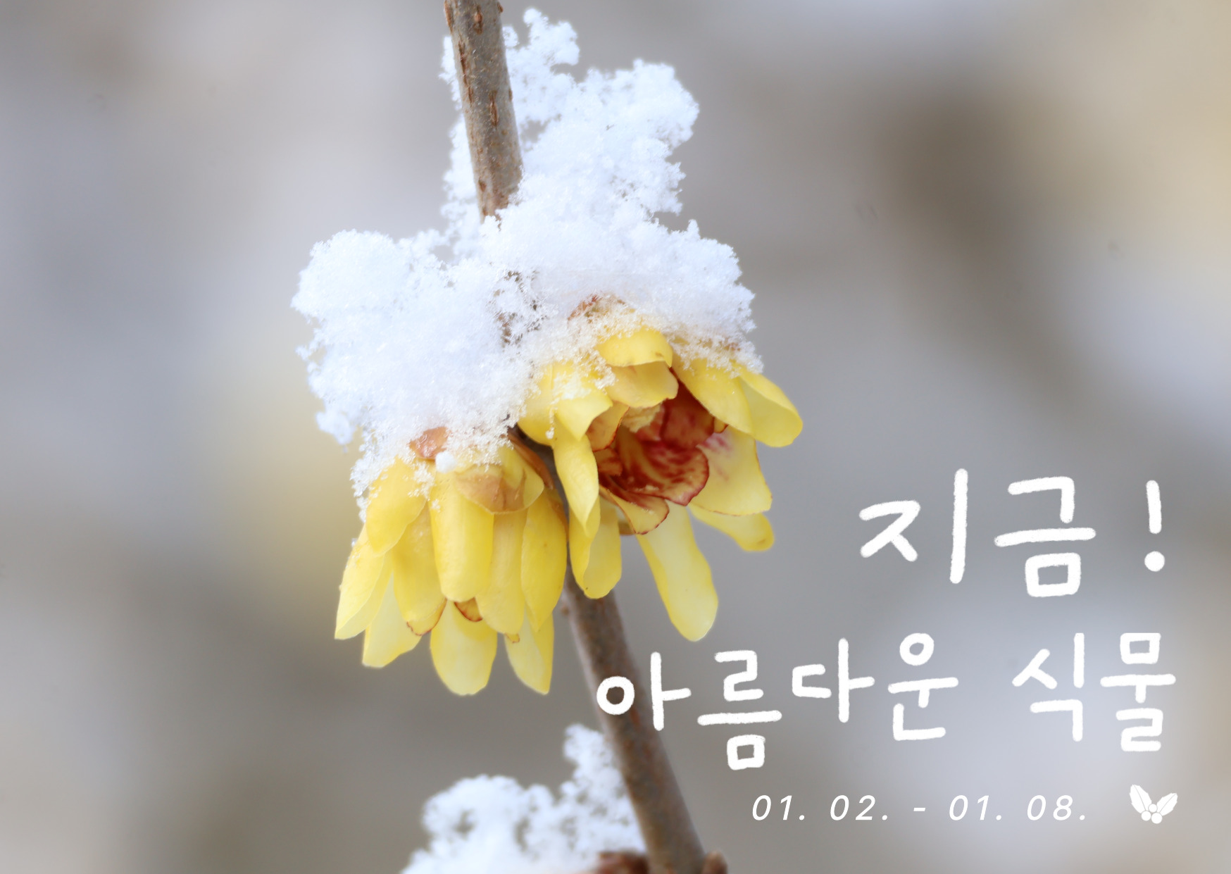 89d9a84dc192e.png