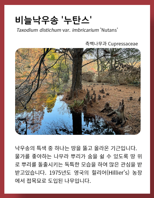 eeec0cd2d7c754d5645d7aec68401c51_1672995