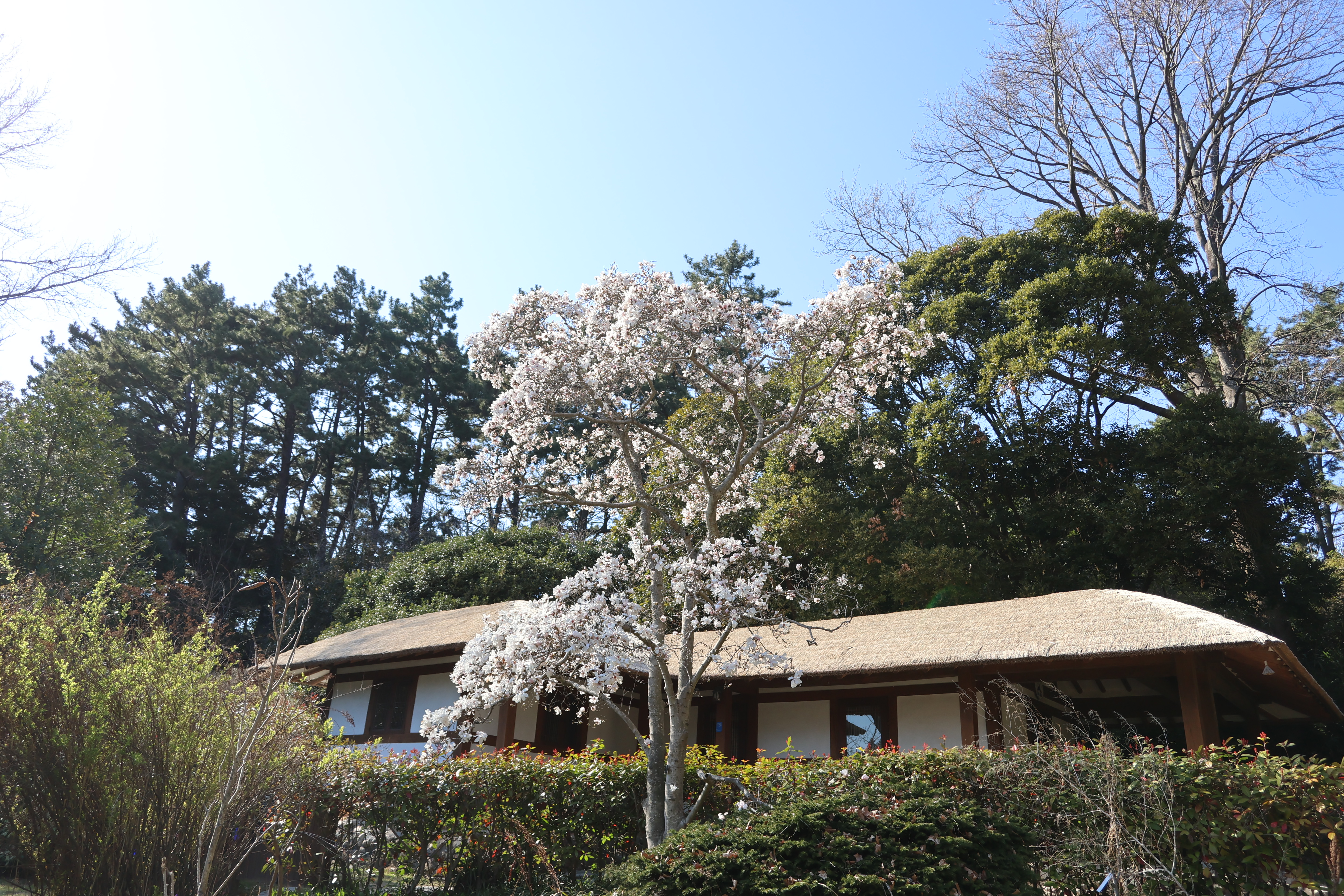 921a4a83147f9.jpg