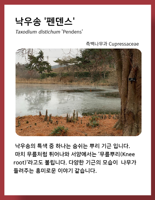 ff951064f5e2dcbcb663bea9fb323a6b_1673549
