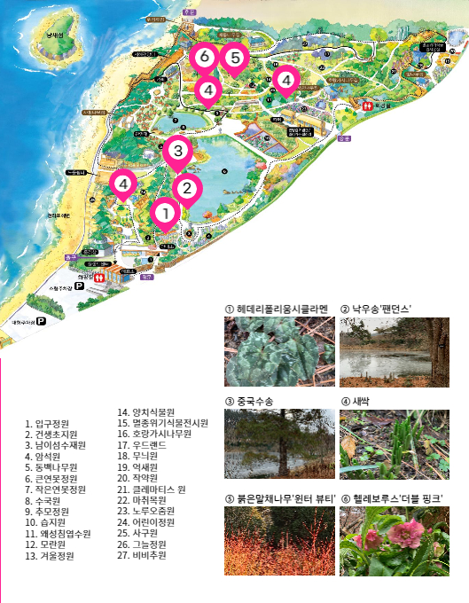 ff951064f5e2dcbcb663bea9fb323a6b_1673549