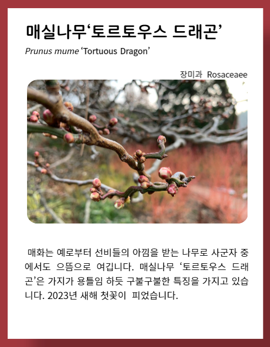 eeec0cd2d7c754d5645d7aec68401c51_1672995