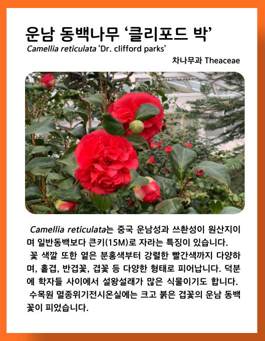 e2e313c027dfbb0996a1aa3a16700204_1678449