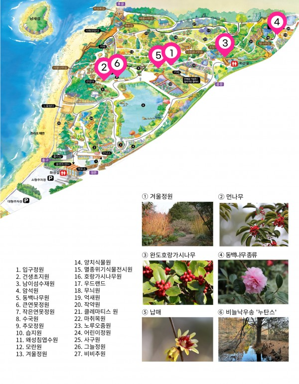 e09216c6d5cd00b64d38fdf160f9d21d_1672374