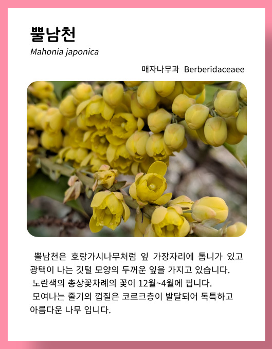 e19af79906a5e3984ba42797e01f2bfc_1679555