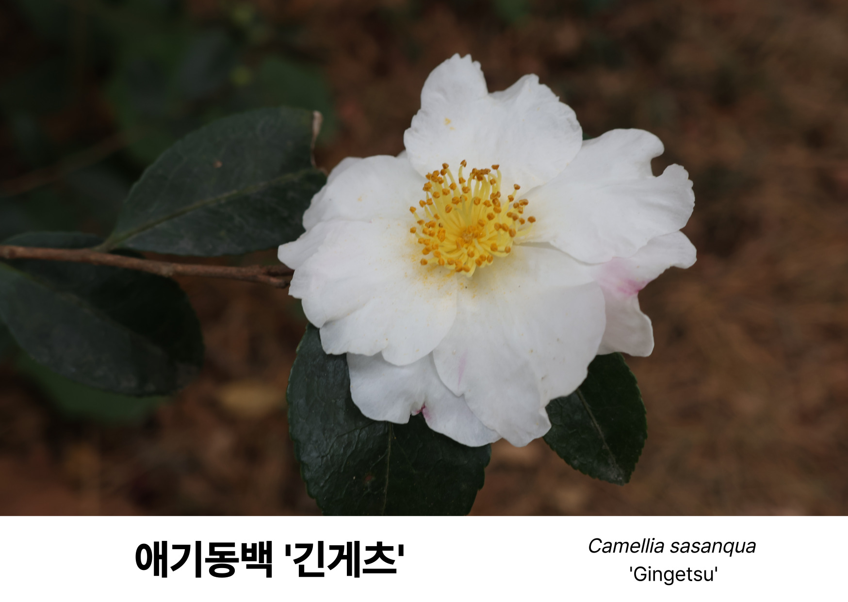 a34930defdcbe.jpg